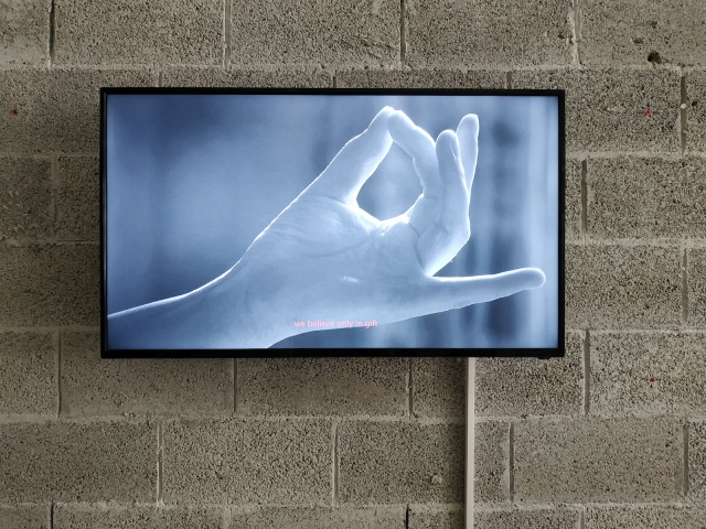 Aleksandra Wilczynska, FreiAir Ailrines, installation view, ArtCube Artists' Studios, 2018